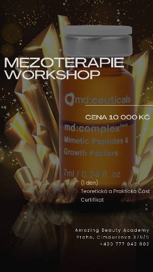 Workshop Mezoterapie md:ceuticals. Microneedling, dermapen, mezoroller Praha